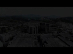 Hand Painted Oil Painting